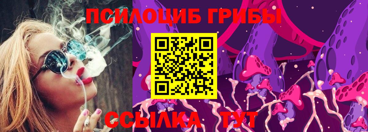 Псилоцибиновые грибы Psilocybe Новокубанск